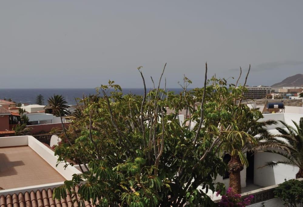 Los Cisnes Encantadora Casa Con Jardin Y Estudio Vista Al Mar El Medano  Exterior photo